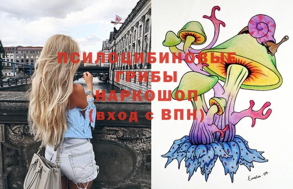 спиды Киреевск