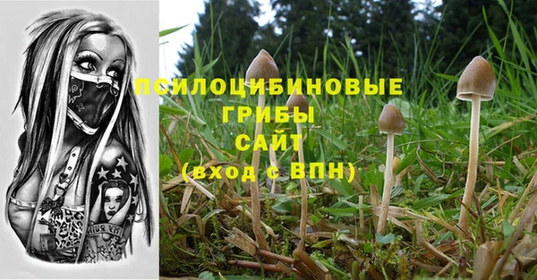 соль ск Карталы