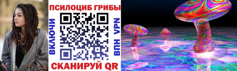 Галлюциногенные грибы Psilocybine cubensis  Купить закладки  Иланский 